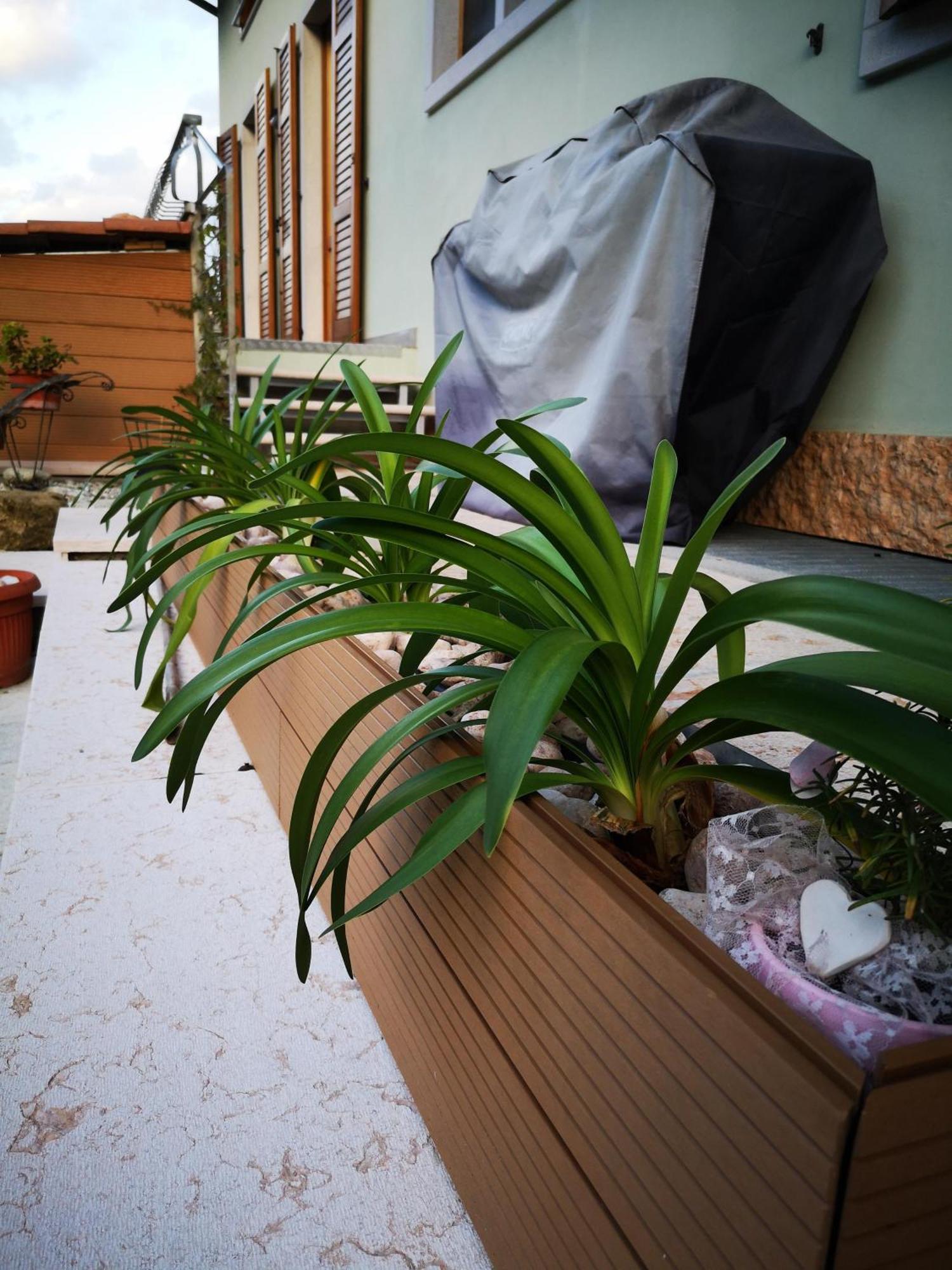 Apartment Sweet Retreat درو المظهر الخارجي الصورة